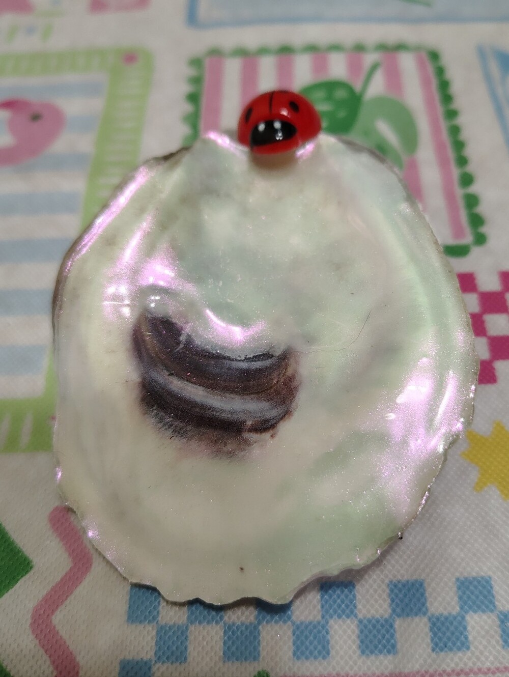 Iridescent Oyster Shell Decoration/Trinket Holder with Ladybug Accent